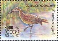 1997-048 Марка Россия Кроншнеп  Фауна России III O