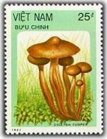(1987-114) Марка Вьетнам "Коллибия веретеноногая"    Грибы III Θ
