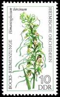 (1976-031) Марка Германия (ГДР) "Ремнелепестник"    Орхидеи III Θ