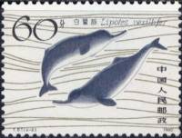 (№1980-1657) Марка Китай 1980 год "Два дельфина Lipotes vexillifer", Гашеная