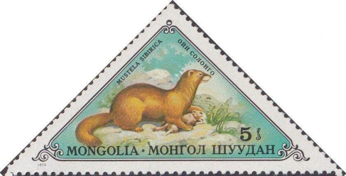 (1973-043) Сцепка тет-беш (2 м) Монголия &quot;Колонок&quot;    Пушные звери III Θ