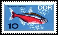 (1966-073) Марка Германия (ГДР) "Красный неон"    Аквариумные рыбки III Θ