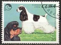 (№3772) Марка Куба 1994 год "Американский кокер-спаниель canis волчанка familiaris", Гашеная