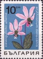 (1968-017) Марка Болгария "Кандык Кавказский"   Горные цветы III Θ