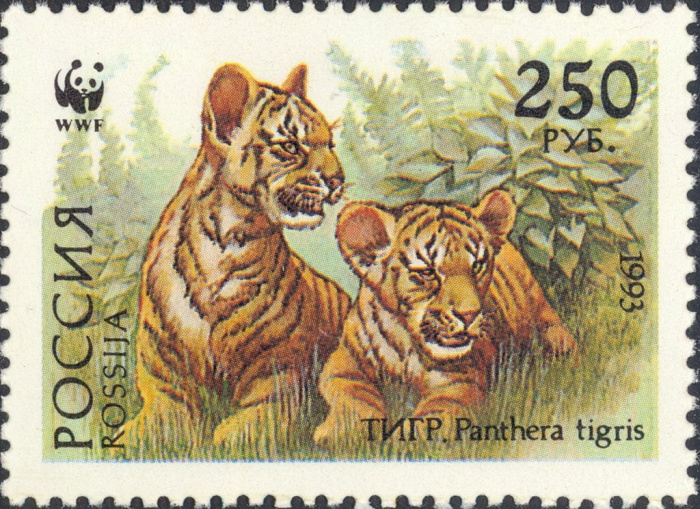 (1993-063) Марка Россия &quot;Тигрята&quot;   Уссурийский тигр III O