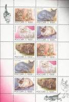 (1996-007-11) Лист марок (10 м 5х2) Россия "Кошки"   Домашние кошки III O