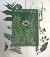 Набор открыток Лекарственные растения выпуск 5 (полный комплект - 32 шт)