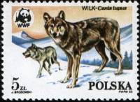 (1985-016) Марка Польша "Волк зимой"    Всемирный фонд природы II Θ