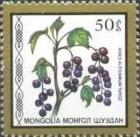 (1987-045) Марка Монголия "Смородина высочайшая"    Съедобные ягоды III Θ