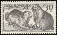(1959-038) Марка Чехословакия "Сурок Альпийский"    10 лет Национальному парку, Татры II Θ