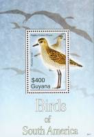 (№2007-815) Блок марок Гайана 2007 год "Тихоокеанская золотистая Ржанка Pluvialis fulva", Гашеный