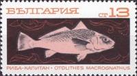 (1969-104) Марка Болгария "Рыба-капитан"   Океанское рыболовство III O