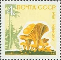 1964-153 Марка СССР Лисички Без лакирования   Грибы III O
