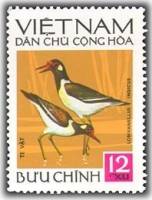 (1972-022) Марка Вьетнам "Украшенный чибис"   Птицы III Θ