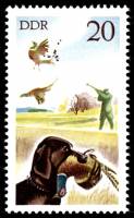 (1977-083) Марка Германия (ГДР) "Обыкновенный фазан"    Охота III Θ