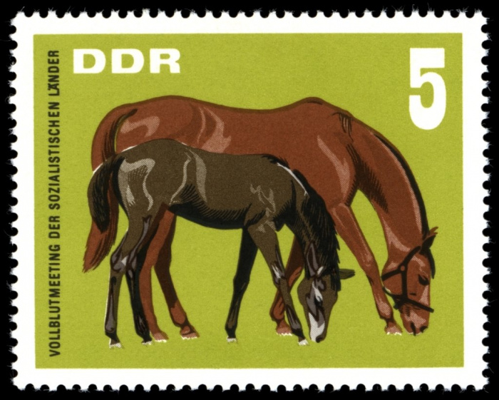 (1967-058) Марка Германия (ГДР) &quot;Кобыла и жеребенок&quot;    Лошади II Θ