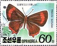 (1991-021) Марка Северная Корея "Зефир берёзовый"   Бабочки гор мира III Θ