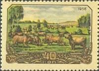 1956-090 Марка СССР Стадо коров   Сельское хозяйство в СССР II Θ