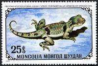 (1972-049) Марка Монголия "Пёстрая круглоголовка"    Рептилии III Θ