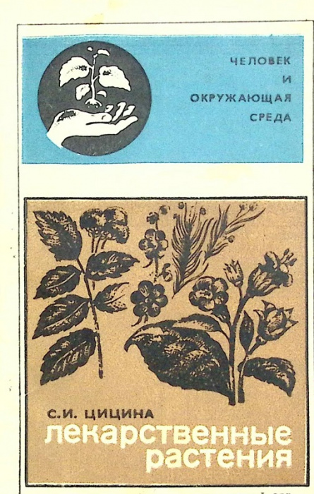 Книга &quot;Лекарственные растения&quot; 1981 С. Цицина Алма-Ата Мягкая обл. 144 с. С ч/б илл