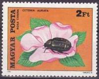 (1980-004) Марка Венгрия "Золотистая бронзовка"    Насекомые, опыляющие цветы II Θ