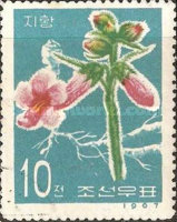 (1967-027) Марка Северная Корея &quot;Рехманния клейкая&quot;   Лекарственные растения III Θ
