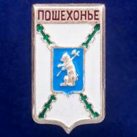 27198\121288 Значок Пошехонье