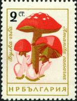 (1961-071) Марка Болгария "Мухомор"   Грибы (1) II Θ