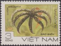 (1985-052a) Марка Вьетнам "Морская звезда Луидия "  Без перфорации  Морские животные III Θ
