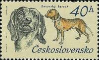 1973-040  Марка Чехословакия Баварская ищейка   50 лет Чехословатскому охотничьему делу III Θ