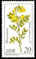 (1981-005) Марка Германия (ГДР) "Пузырник древовидный"    Растения III Θ