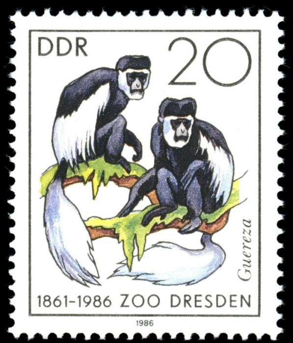 (1986-032) Марка Германия (ГДР) &quot;Восточный колобус&quot;    Зоопарк, Дрезден III O