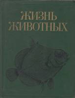 Книга Жизнь животных.Рыбы 1989 В. Соколов, М. Гиляров Москва Твёрдая обл. 557 с. Без илл.