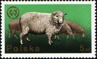 (1975-033) Марка Польша "Овца"    20-й конгресс Европейской зоотехнической Федерации III Θ