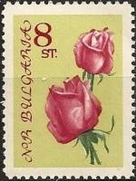 (1962-035) Марка Болгария "Роза (Розовый, салатовый)"   Розы I Θ