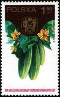 (1974-041) Марка Польша "Огурцы"    19 Международный садоводческий конгресс III Θ