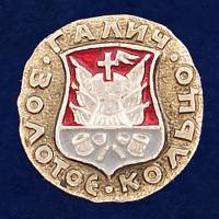 29409\131964 Значок "Галич"
