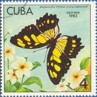 (1982-011) Марка Куба "Малахитовая бабочка"    Бабочки I Θ