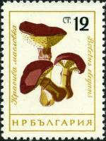 (1961-073) Марка Болгария "Маслёнок"   Грибы (1) II Θ