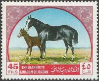 (№1969-700) Марка Иордания 1969 год "Арабская лошадь equus ферусом caballus", Гашеная