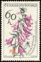 (1964-025) Марка Чехословакия "Колокольчик Кампанула"    Цветы III Θ