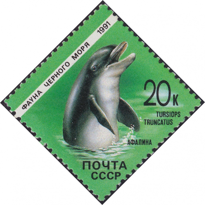 (1991-005) Марка СССР &quot;Дельфин афалина&quot;   Фауна Чёрного моря III Θ