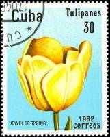 (1982-030) Марка Куба "Жемчужина весны"    Тюльпаны III O