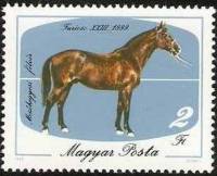 (1985-036) Марка Венгрия "Фуриозо-23, 1889"    Лошади II Θ