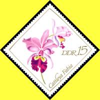 (1968-090) Марка Германия (ГДР) "Каттлея фабия"    Орхидеи II O