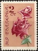 (1962-030) Марка Болгария "Роза (Розовый, оранжевый)"   Розы III O