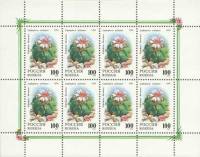 1994-007  Лист (8 м 2х4) Россия Лофофора Вильямса  Комнатные растения. Кактусы III O