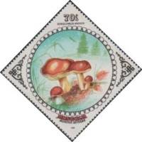 (1985-062) Марка Монголия "Моховик "    Грибы III Θ