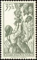 (1956-038) Марка Чехословакия "Сбор хмеля"    Богатства нашей страны III Θ