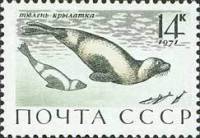 (1971-077) Марка СССР "Тюлень-крылатка"    Млекопитающие - обитатели морей и океанов II Θ